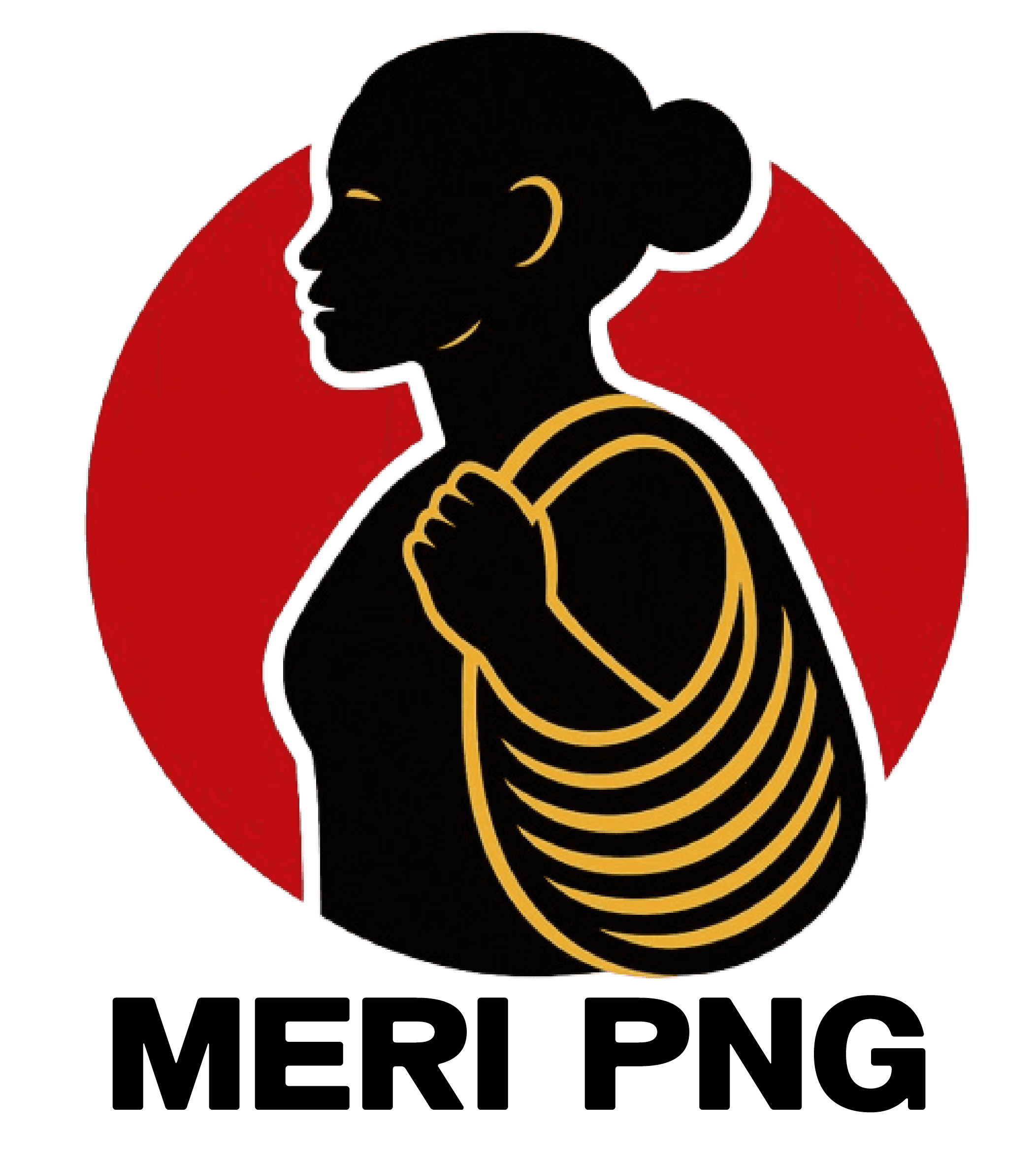 MERI-PNG Logo